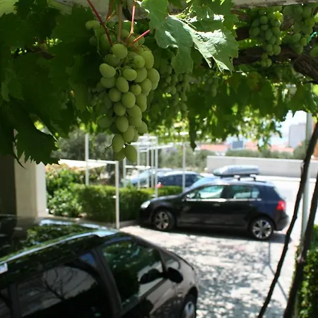 Rados * ماكارسكا