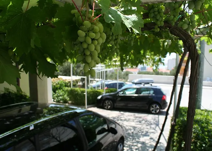 Rados * ماكارسكا